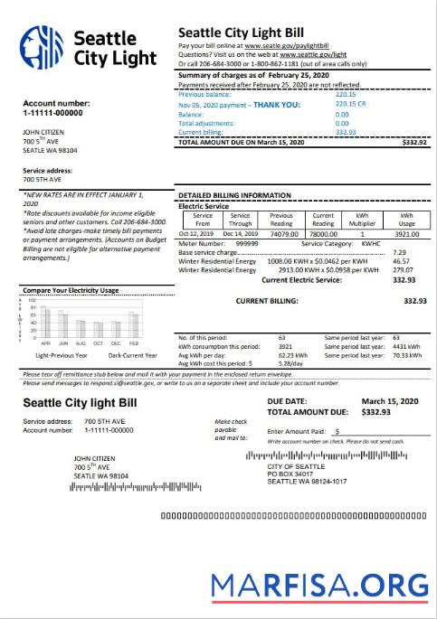 Realistic USA Washington Seattle City Light utility bill template in Word and PDF format